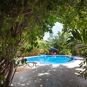 *** Bed & Breakfast Casa Don Diego Mexico