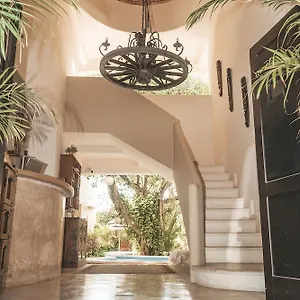 *** Hotel Boutique 06 (adults Only) Mexique